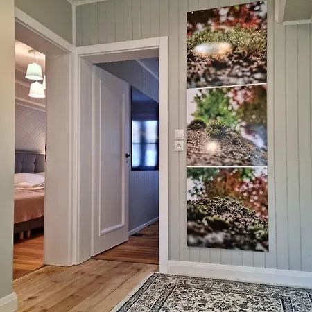 Mistral Przy Plazy Caloroczne * 우스트카