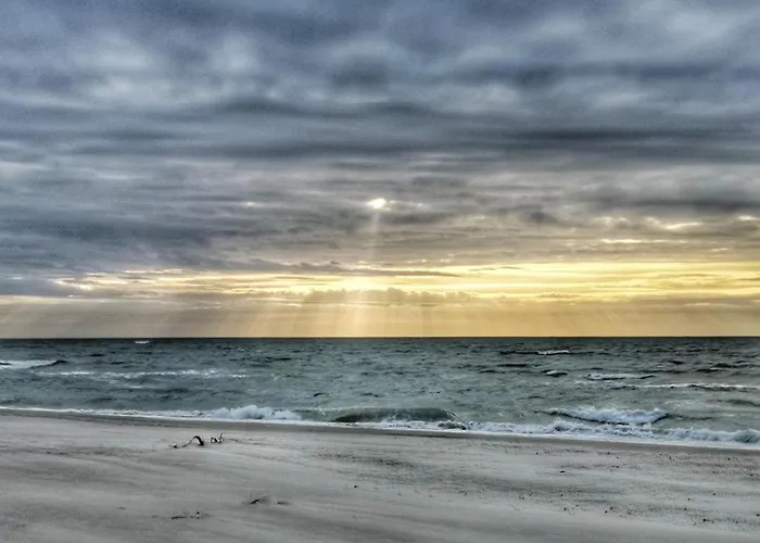 Orman Evi Mistral Przy Plazy Caloroczne Ustka